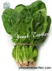 YYT Yüksek Kalsiyum içeren 11 Yiyecek ispanak